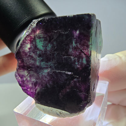 Rare cube de fluorite fantôme parqueté vert violet Okorusu Namibie 31*30*25mm 