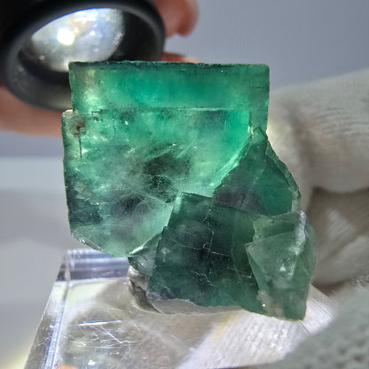 Spécimen zonal de cube de fluorite fantôme, vert violet, Okorusu, Namibie, 30 x 28 x 24 mm 