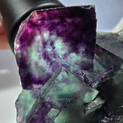 Spécimen rare de cube de fluorite fantôme, vert zonal et violet, Okorusu, Namibie, 49 x 47 x 18 mm 