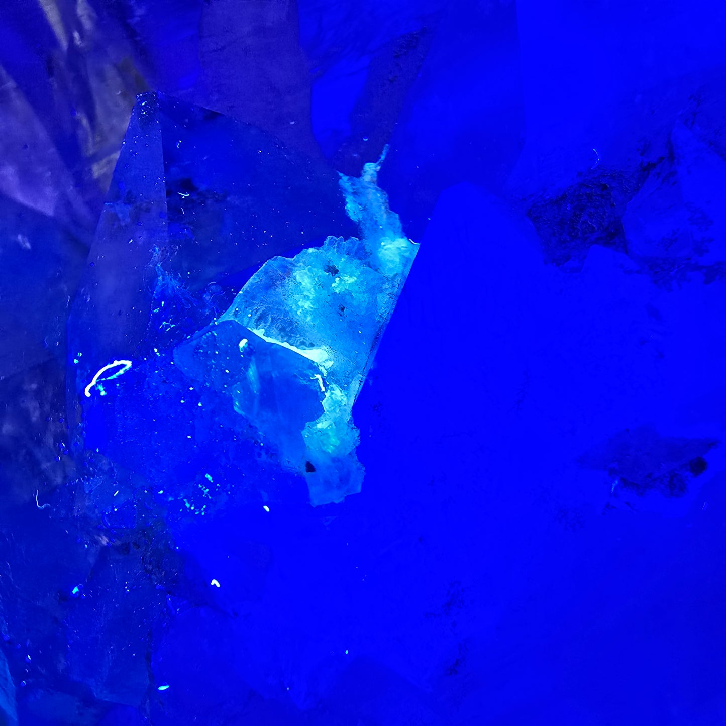XL Enhydro Skeleton Smoky Quartz DT Scepter, 2x Bubble Valentine Pocket, Namibia 145*69*55mm 