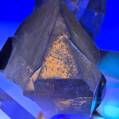 Spécimen rare de quartz fumé et de tourmaline Schorl à Erongo, Namibie, 53 x 48 x 39 mm 