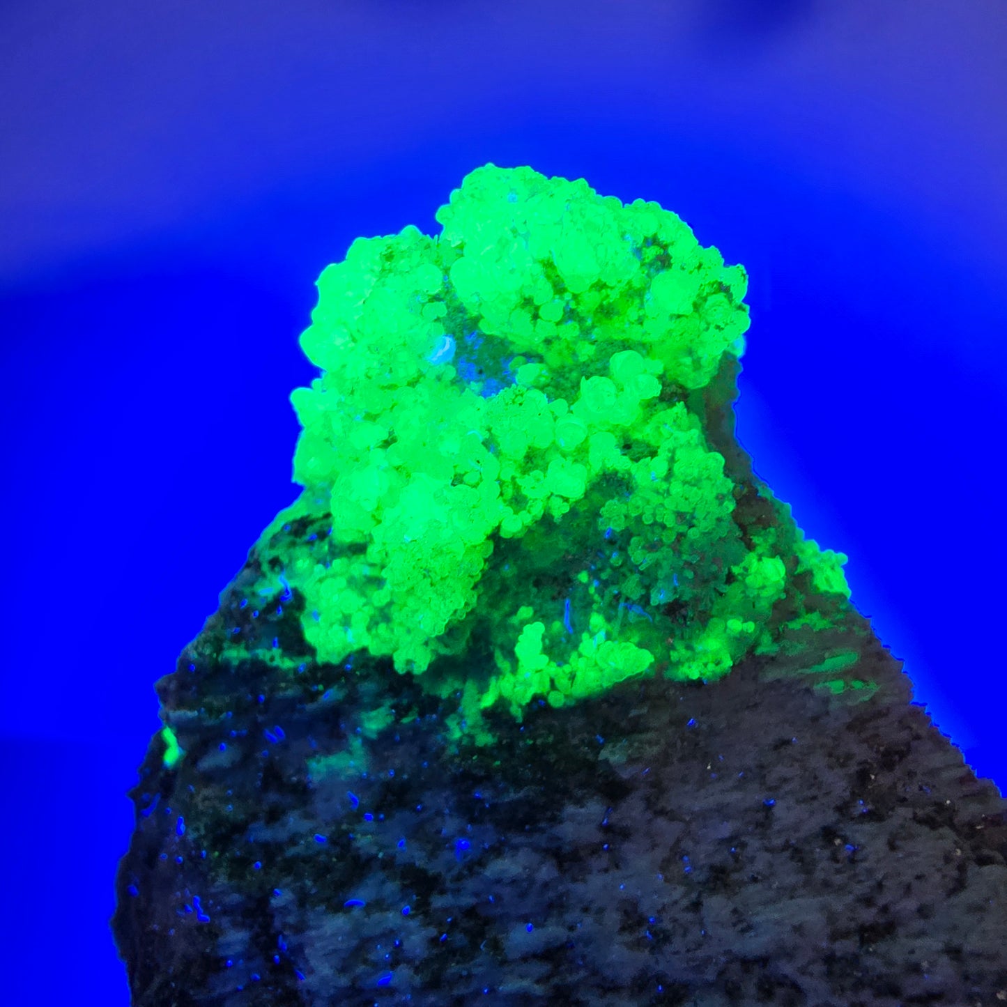 Opale hyalite rare, spécimen d'orthose Erongo, Namibie 58*55*40mm 
