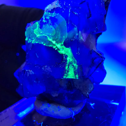 Cube de fluorite fantôme zonal, tourmaline muscovite Schörl hyalite Erongo, Namibie 36 x 21 x 17 mm 