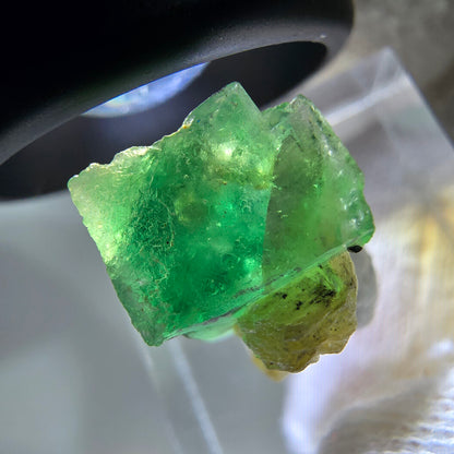 Cube de fluorite fantôme zonal, spécimen de muscovite, Erongo, Namibie, 19 x 13 x 11 mm 