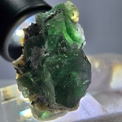 Fluorite fantôme, tourmaline Schörl, stade muscovite Erongo Namibie 31*20*25mm 