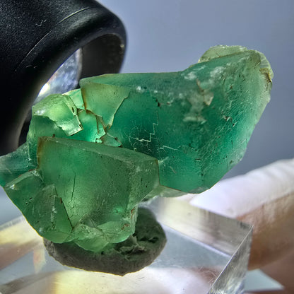Spécimen de cube de fluorite fantôme, vert violet, Okorusu, Namibie, 35 x 19 x 19 mm 