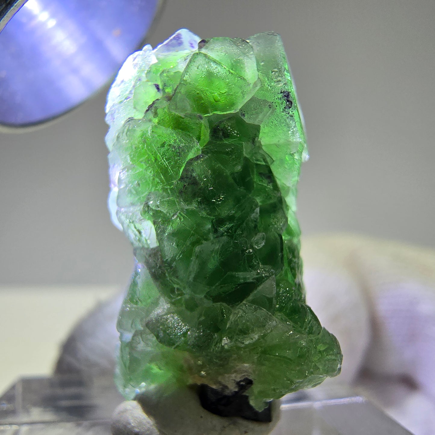 Cube de fluorite fantôme, spécimen de tourmaline Schorl, Erongo, Namibie, 26 x 15 x 15 mm 