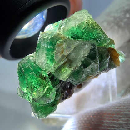 Cube de fluorite fantôme, spécimen de muscovite, Erongo, Namibie, 30 x 23 x 21 mm 