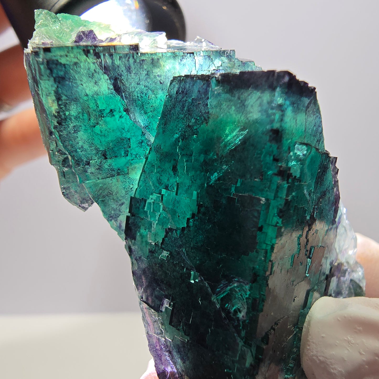 Spécimen de cube de fluorite fantôme parqueté vert violet Okorusu, Namibie 71*36*21mm 