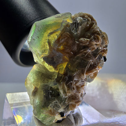 Cube de fluorite fantôme, spécimen hexagonal de tourmaline muscovite Schorl, Erongo, Namibie, 33 x 21 x 19 mm 