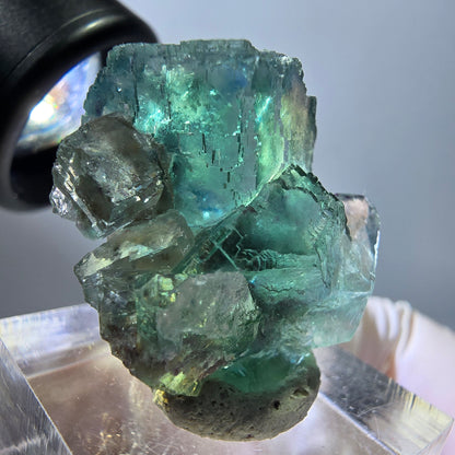 Spécimen de cube de fluorite fantôme, parquet vert Okorusu, Namibie 28 x 21 x 15 mm 