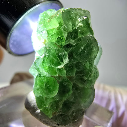 Cube de fluorite fantôme, spécimen de tourmaline Schorl, Erongo, Namibie, 22 x 16 x 16 mm 