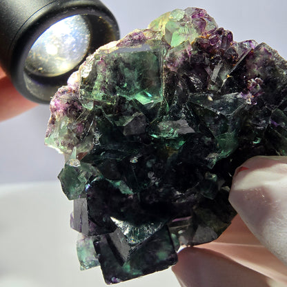 Spécimen de cube de fluorite fantôme parqueté vert violet Okorusu, Namibie 52*42*16 mm 