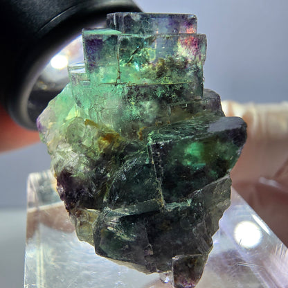 Spécimen de cube de fluorite fantôme, parqueté vert violet Okorusu, Namibie 31*25*18 mm 