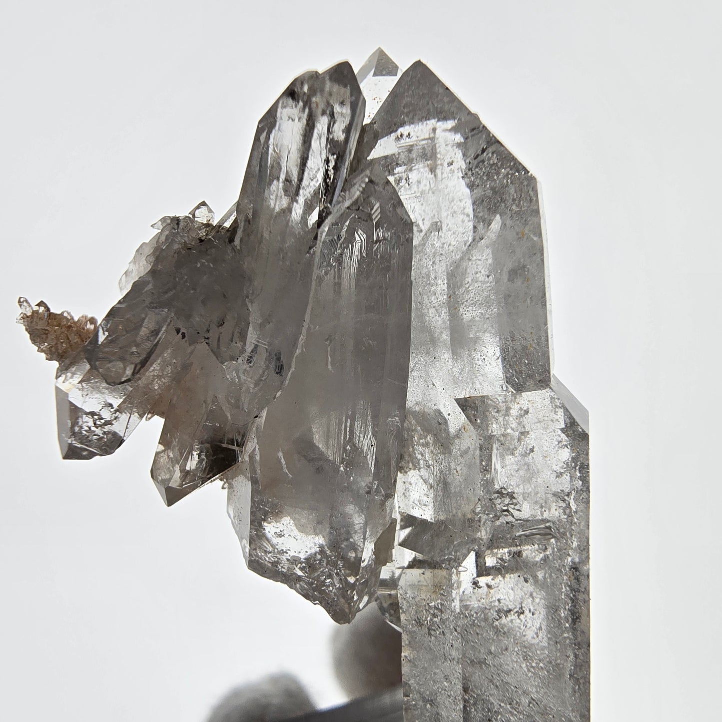 Sceptre fantôme squelette en quartz fumé DT sur pochette Matrix Valentine, Namibie 49 x 29 x 22 mm 
