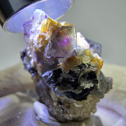 Fluorite fantôme colorée, tourmaline schol, muscovite, hyalite, Erongo, Namibie, 32 x 27 x 20 mm 