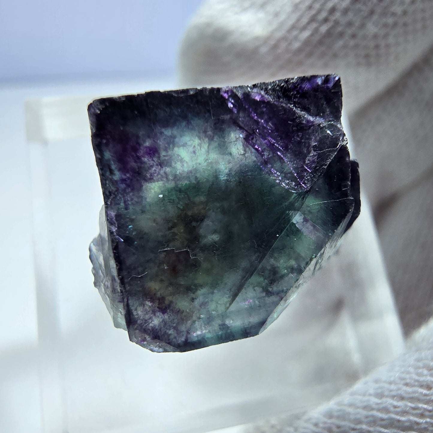 Rare spécimen de cube de fluorite fantôme, vert-violet zonal, Okorusu, Namibie, 19 x 17 x 14 mm 