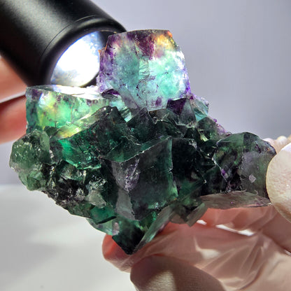 Spécimen de cube de fluorite fantôme, parqueté vert violet Okorusu, Namibie 51*39*24 mm 