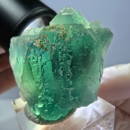 Seltene Phantom Fluorit Würfel Stufe, grün Okorusu, Namibia 41*37+21mm
