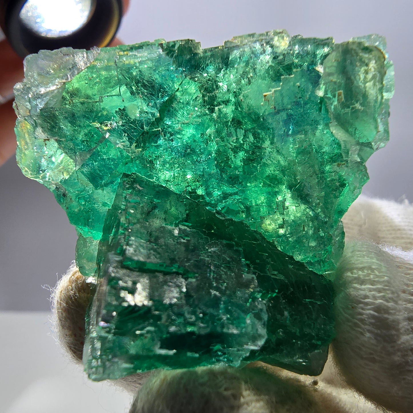 Seltene Phantom Fluorit Würfel Stufe parkettiert grün Okorusu Namibia 47*41*30mm