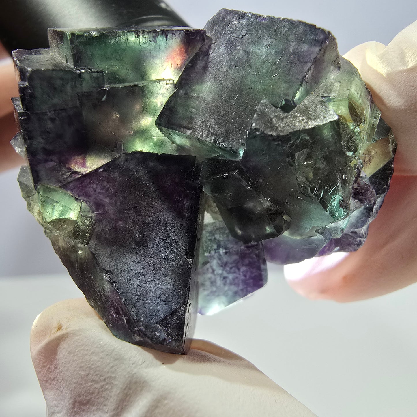 Spécimen de cube de fluorite fantôme parqueté vert violet Okorusu, Namibie 47*36*22mm 
