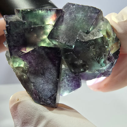 Spécimen de cube de fluorite fantôme parqueté vert violet Okorusu, Namibie 47*36*22mm 