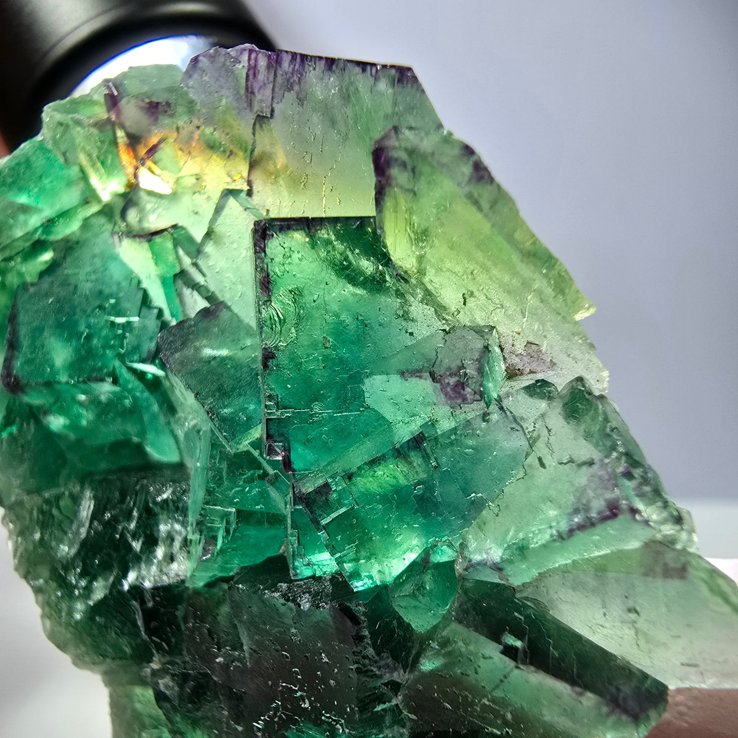 Spécimen de cube de fluorite fantôme, parqueté vert violet Okorusu, Namibie 55*41*16 mm 