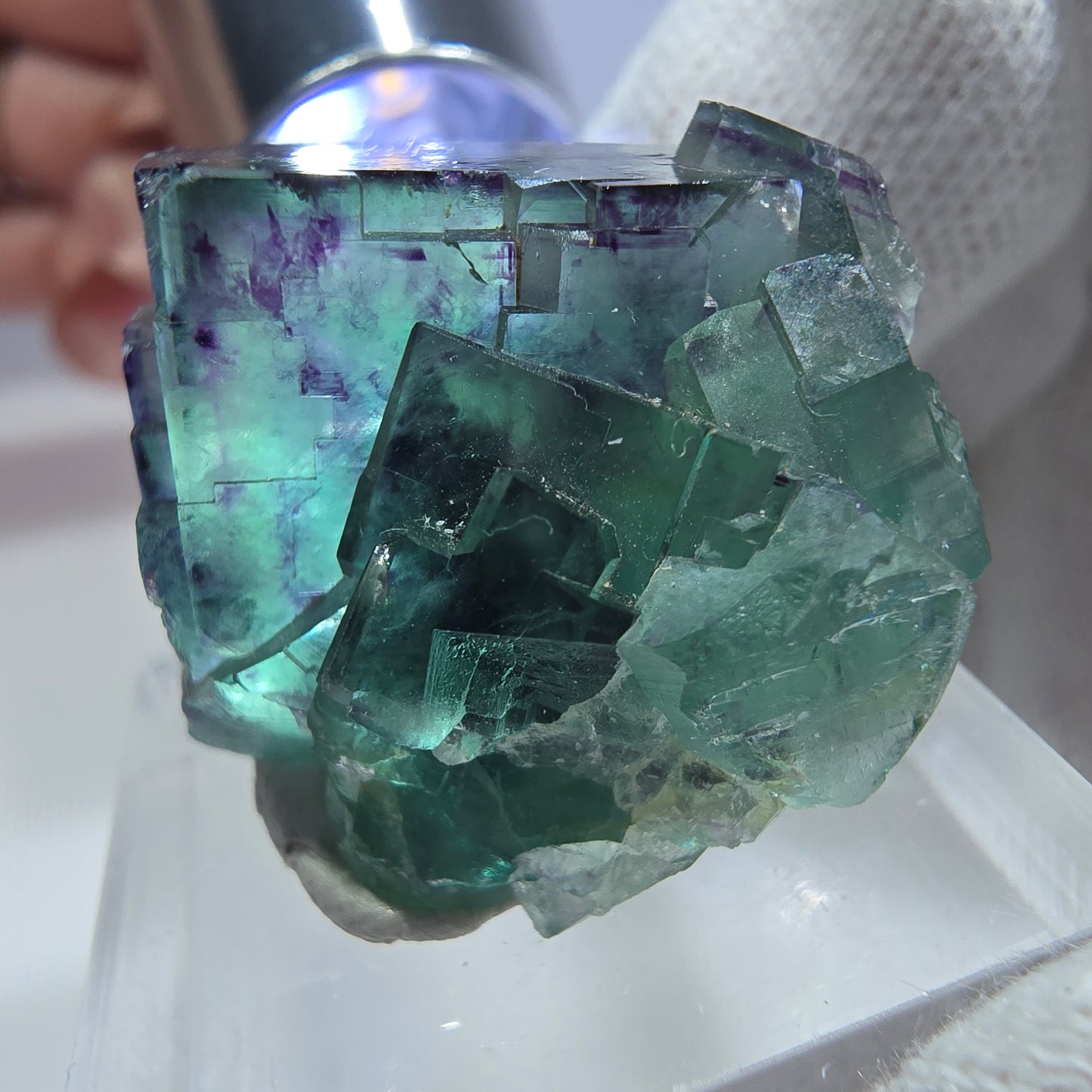 Spécimen rare de cube de fluorite fantôme, vert zonal et violet, Okorusu, Namibie, 30 x 26 x 18 mm 