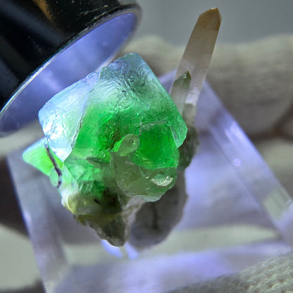 Cube de fluorite fantôme zonal, quartz fumé, spécimen de muscovite, Erongo, Namibie, 19 x 15 x 12 mm 
