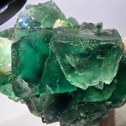 Grand spécimen de cube de fluorite fantôme, vert parqueté Okorusu Namibie 113*95*54mm 