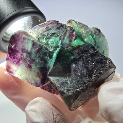 Spécimen de cube de fluorite fantôme parqueté vert violet Okorusu, Namibie 44*35*21mm 