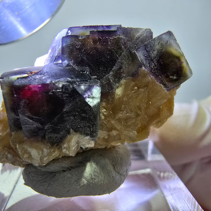 Cubes de fluorite fantôme colorés, spécimen de muscovite, Erongo, Namibie, 32 x 27 x 13 mm 