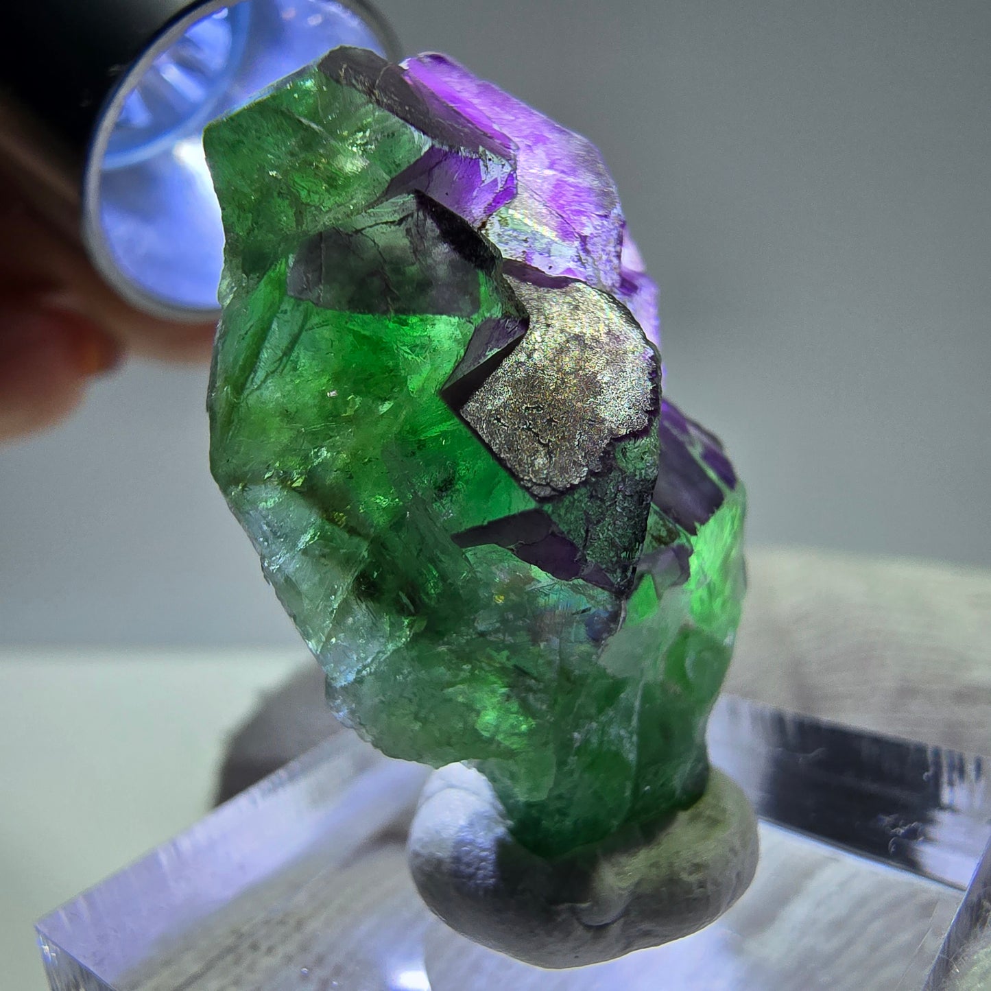 Phantom Fluorit Würfe Stufe, grün lila Erongo, Namibia 32*22*12mm