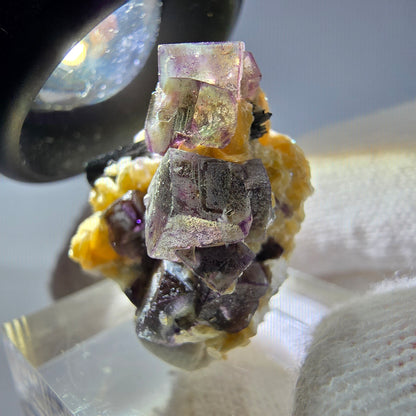Spécimen de fluorite fantôme colorée, tourmaline scholle, muscovite, Erongo, Namibie, 31 x 21 x 21 mm 