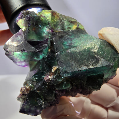 Spécimen de cube de fluorite fantôme, parqueté vert violet Okorusu, Namibie 56*43*28 mm 