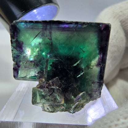 Spécimen rare de cube de fluorite fantôme, vert zonal et violet, Okorusu, Namibie, 29 x 21 x 18 mm 