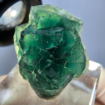 Seltene Phantom Fluorit Würfel Stufe, grün Okorusu, Namibia 22*21*13mm