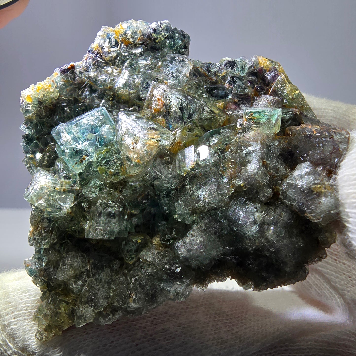 Cubes rares de fluorite fantôme zonale, vert violet, Erongo, Namibie 63*59*18 mm 