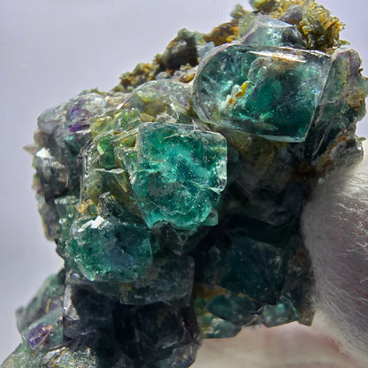Cube de fluorite fantôme zonal, spécimen de tourmaline Schorl, Erongo, Namibie, 66 x 49 x 33 mm 