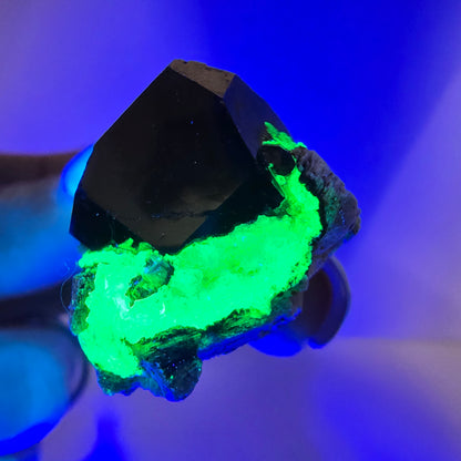 Spécimen rare de tourmaline Schorl et d'opale hyalite, Erongo, Namibie, 43 x 24 x 24 mm 