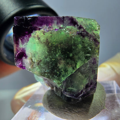 Phantom Fluorit Würfel parkettiert, zonal, grün lila Okorusu, Namibia 21*20*18mm