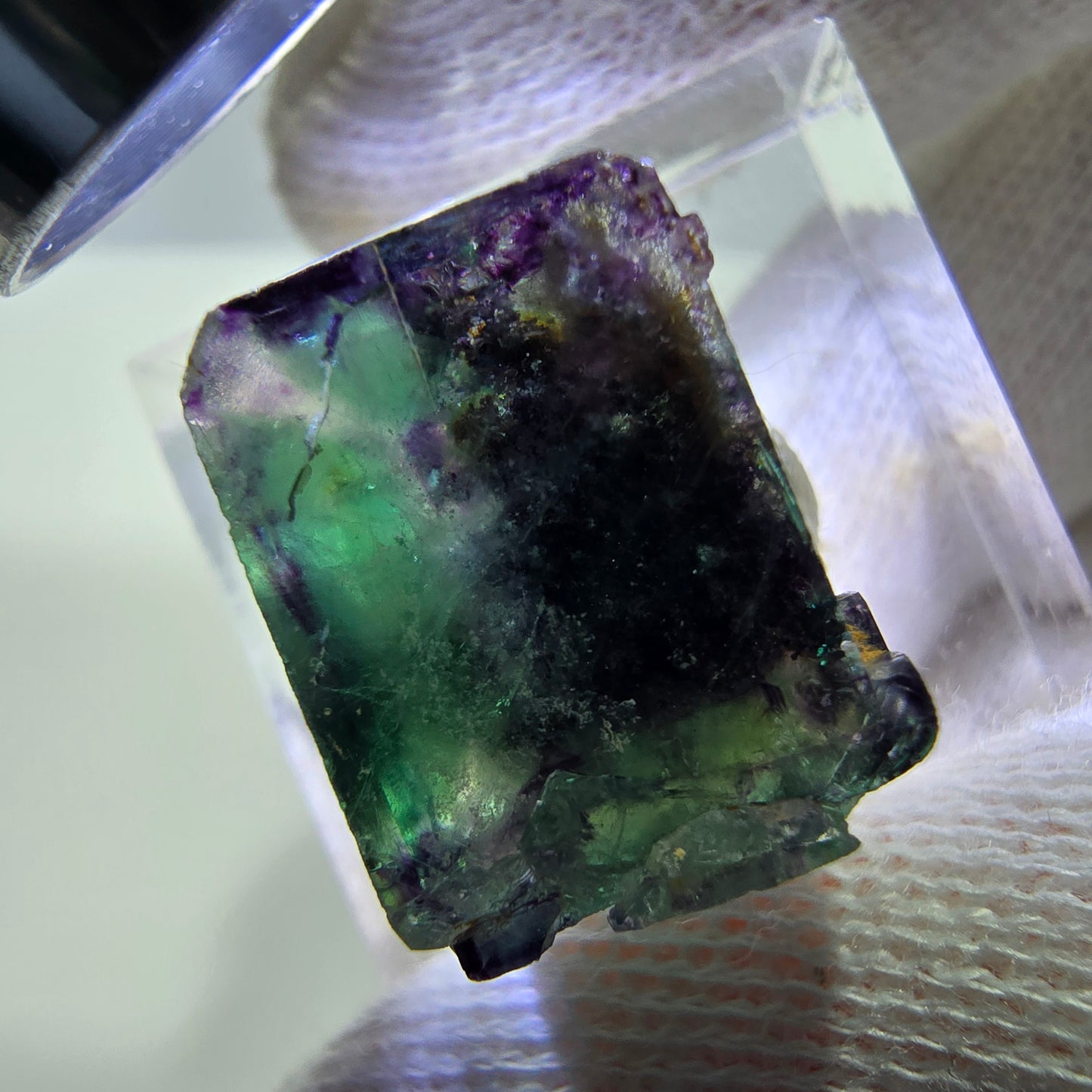 Spécimen rare de cube de fluorite fantôme, vert zonal et violet, Okorusu, Namibie, 19 x 21 x 13 mm 