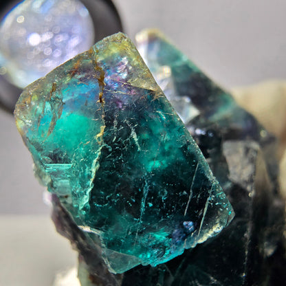 Rare spécimen de cube de fluorite fantôme, zonal – Nouvelle découverte ! Okorusu, Namibie, 67 x 62 x 27 mm 