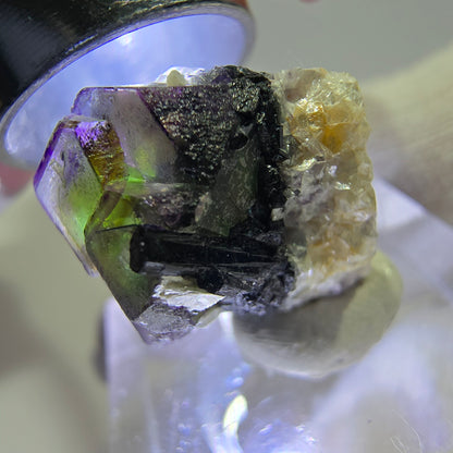 Fluorite fantôme colorée, Spécimen de tourmaline scholle muscovite, Erongo, Namibie, 19 x 17 x 14 mm 