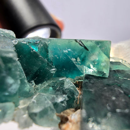 Rare spécimen de cube de fluorite fantôme, parqueté vert Okorusu, Namibie, 55 x 34 x 17 mm 