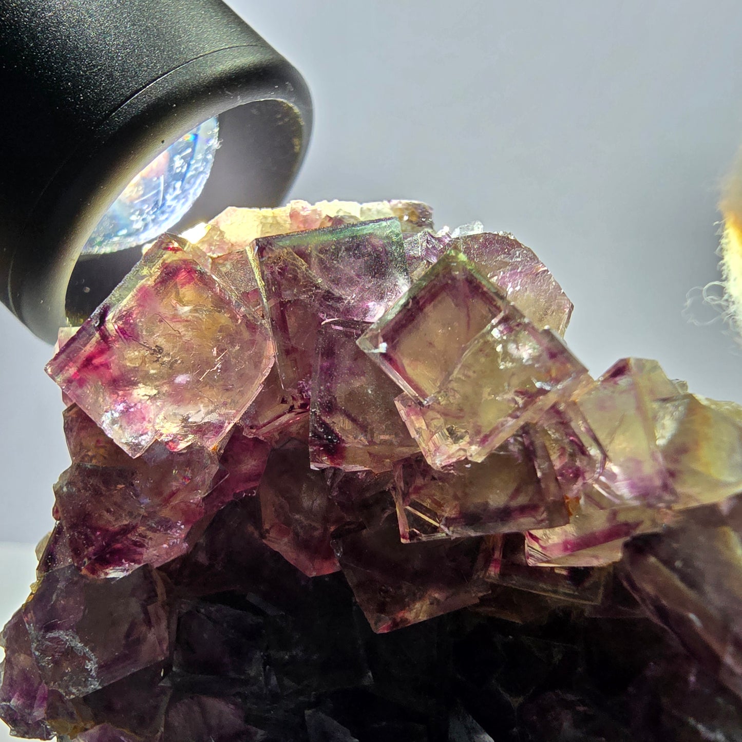 Seltene Phantom Fluorit Würfel Stufe, lila grün Okorusu Namibia 72*50*27mm