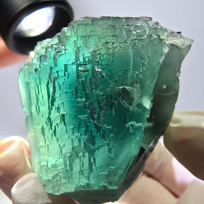 Spécimen de cube de fluorite fantôme transparente, vert parqueté, Okorusu, Namibie, 60 x 44 x 40 mm 