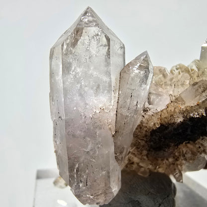 Skeleton Phantom Smoky Quartz DT Scepter Grade Valentine Pocket, Namibia 55*44*18mm 