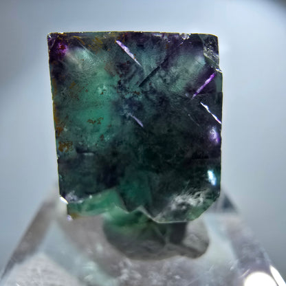 Rare spécimen de cube de fluorite fantôme zonal vert violet Okorusu, Namibie 24*16*16mm 