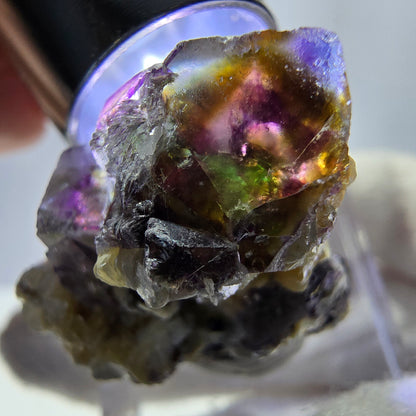 Spécimen de fluorite fantôme colorée, tourmaline scholle, muscovite, Erongo, Namibie, 27 x 24 x 18 mm 